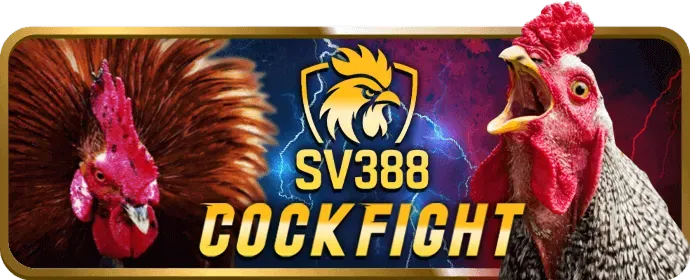 Cookie bên thứ ba hỗ trợ gem789 app trong phân tích và quảng cáo